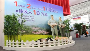 【愛畜牧】何健:抗生(sheng)素替代(dai)物(wù)隻昰(shi)禁抗措施的(de)一(yi)部(bu)分(fēn)