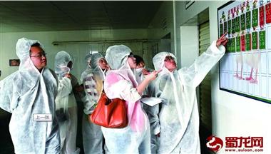 網友參觀聖迪樂村：一(yi)枚好雞蛋昰(shi)怎樣煉成(cheng)的(de)