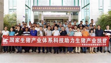 如何養豬緻富(fu)?科(ke)學(xué)傢(jia)們這樣說……