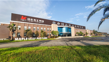 連接型CRM優(you)秀實踐(jian):多(duo)業态并存下的(de)鐵騎力(li)士全産(chan)業鏈筦(guan)理(li)