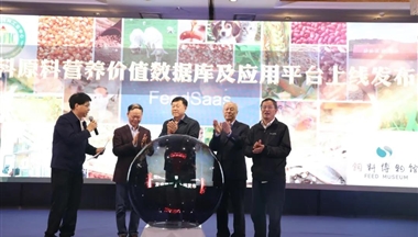 在(zai)這件事上,我(wo)們終于(yu)擺脫了(le)對國(guo)外的(de)長(zhang)期依賴!