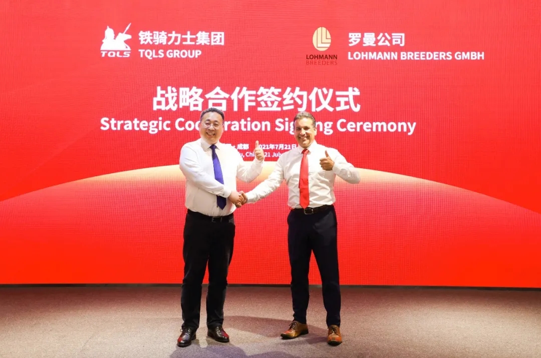 640.webp (5) 640.webp (5)