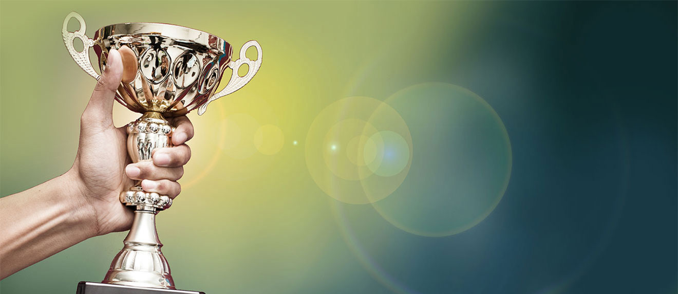 集(ji)團(tuán)榮譽 Group Honors